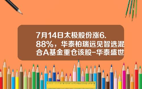 7月14日太极股份涨6.88%，华泰柏瑞远见智选混合A基金重仓该股-华泰盛世基金净值