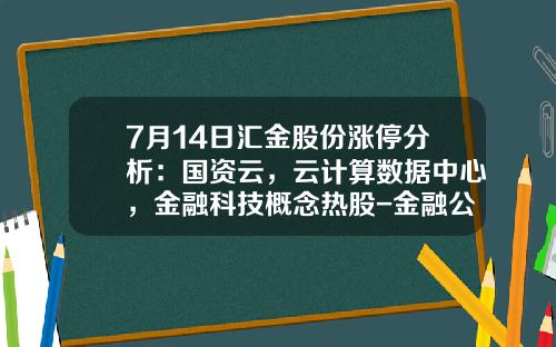 7月14日汇金股份涨停分析：国资云，云计算数据中心，金融科技概念热股-金融公司资金流怎么统计的