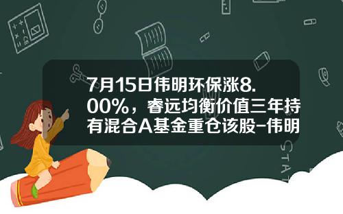 7月15日伟明环保涨8.00%，睿远均衡价值三年持有混合A基金重仓该股-伟明环保能上多少