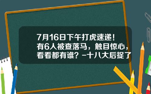 7月16日下午打虎速递！有6人被查落马，触目惊心，看看都有谁？-十八大后捉了多少人