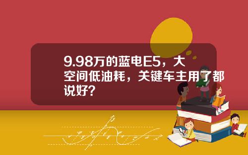 9.98万的蓝电E5，大空间低油耗，关键车主用了都说好？