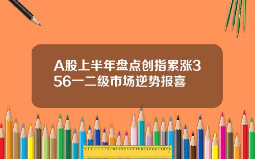 A股上半年盘点创指累涨356一二级市场逆势报喜