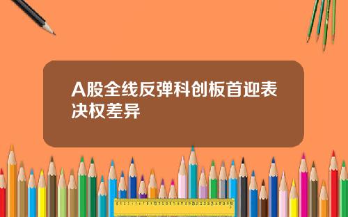 A股全线反弹科创板首迎表决权差异