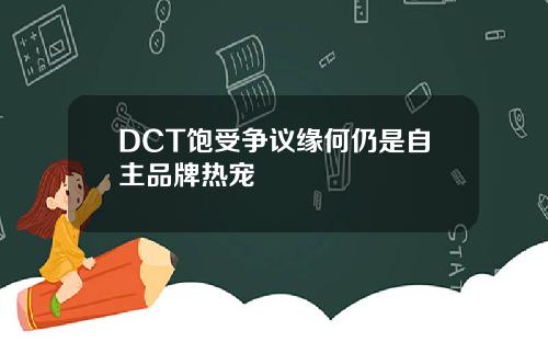 DCT饱受争议缘何仍是自主品牌热宠