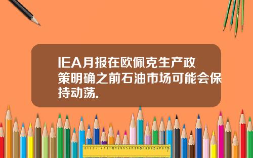 IEA月报在欧佩克生产政策明确之前石油市场可能会保持动荡.