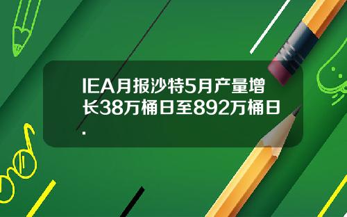 IEA月报沙特5月产量增长38万桶日至892万桶日.