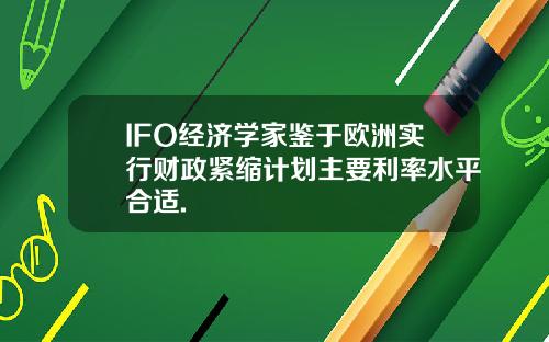 IFO经济学家鉴于欧洲实行财政紧缩计划主要利率水平合适.
