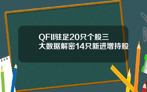 QFII驻足20只个股三大数据解密14只新进增持股
