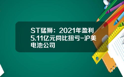 ST猛狮：2021年盈利5.11亿元同比扭亏-沪美电池公司