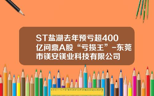 ST盐湖去年预亏超400亿问鼎A股“亏损王”-东莞市镁安镁业科技有限公司