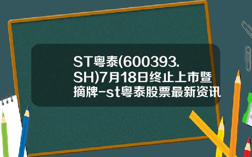 ST粤泰(600393.SH)7月18日终止上市暨摘牌-st粤泰股票最新资讯