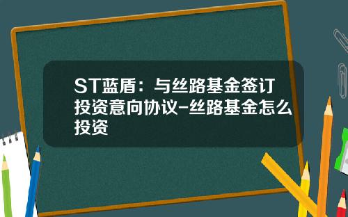 ST蓝盾：与丝路基金签订投资意向协议-丝路基金怎么投资