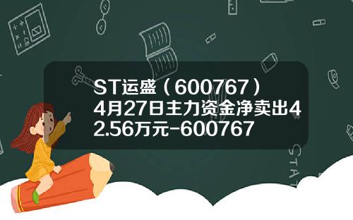 ST运盛（600767）4月27日主力资金净卖出42.56万元-600767公司简介