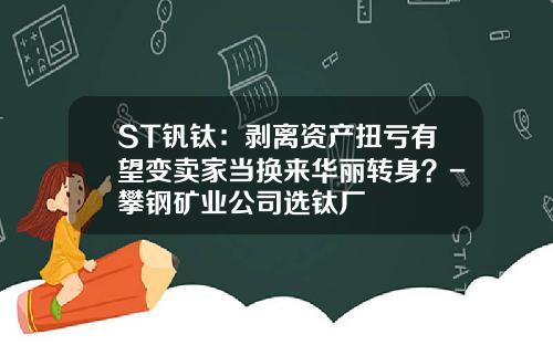 ST钒钛：剥离资产扭亏有望变卖家当换来华丽转身？-攀钢矿业公司选钛厂