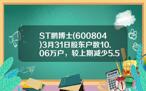 ST鹏博士(600804)3月31日股东户数10.06万户，较上期减少5.52%-鹏博士集团市值多少