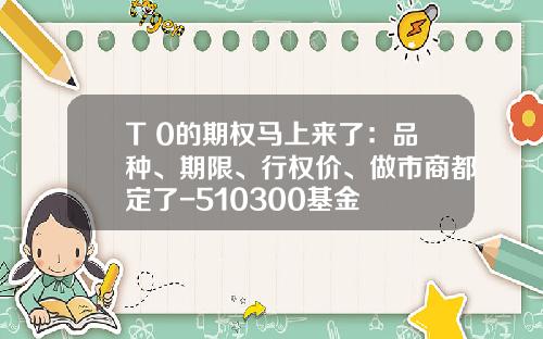 T+0的期权马上来了：品种、期限、行权价、做市商都定了-510300基金