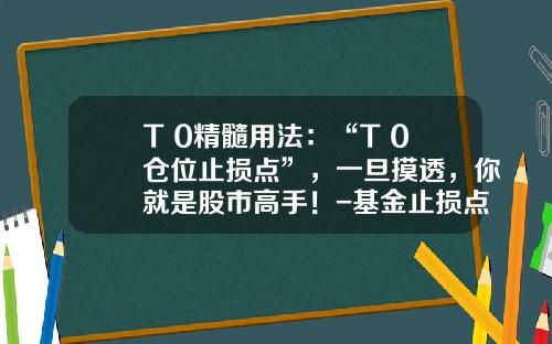 T+0精髓用法：“T+0仓位止损点”，一旦摸透，你就是股市高手！-基金止损点