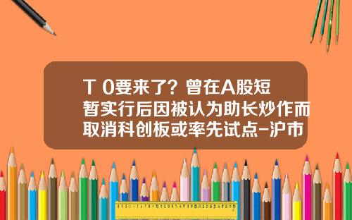 T+0要来了？曾在A股短暂实行后因被认为助长炒作而取消科创板或率先试点-沪市上市公司2013年年报
