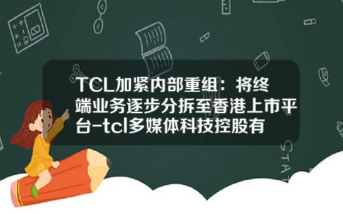 TCL加紧内部重组：将终端业务逐步分拆至香港上市平台-tcl多媒体科技控股有限公司章程