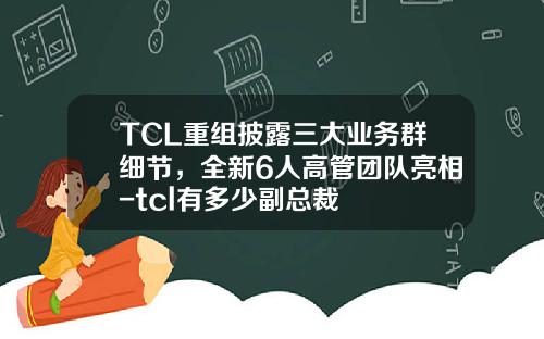 TCL重组披露三大业务群细节，全新6人高管团队亮相-tcl有多少副总裁