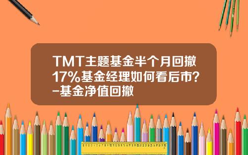 TMT主题基金半个月回撤17%基金经理如何看后市？-基金净值回撤