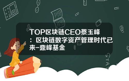 TOP区块链CEO蔡玉峰：区块链数字资产管理时代已来-鼎峰基金