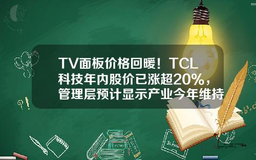 TV面板价格回暖！TCL科技年内股价已涨超20%，管理层预计显示产业今年维持供需平衡-做液晶屏的上市公司