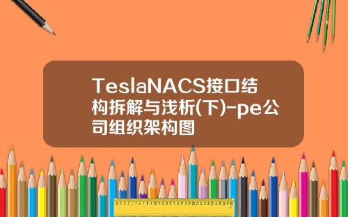 TeslaNACS接口结构拆解与浅析(下)-pe公司组织架构图