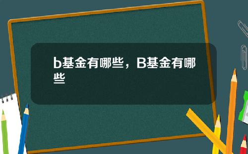 b基金有哪些，B基金有哪些
