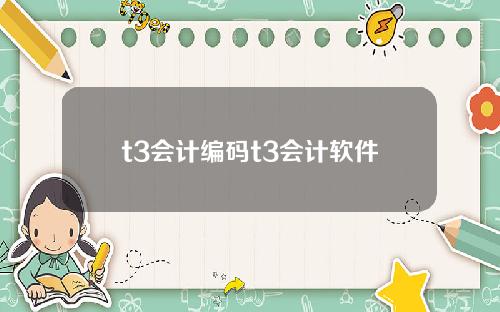 t3会计编码t3会计软件