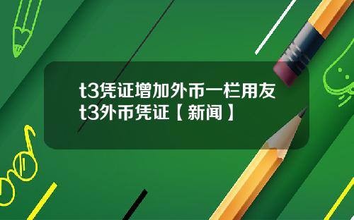 t3凭证增加外币一栏用友t3外币凭证【新闻】