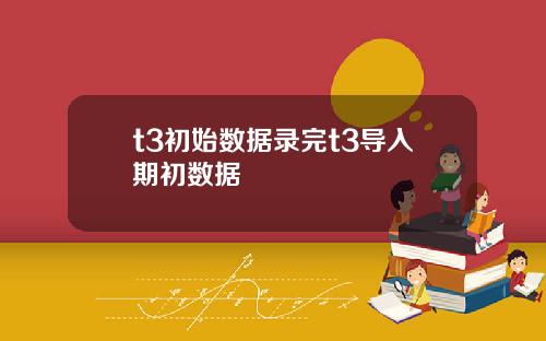 t3初始数据录完t3导入期初数据