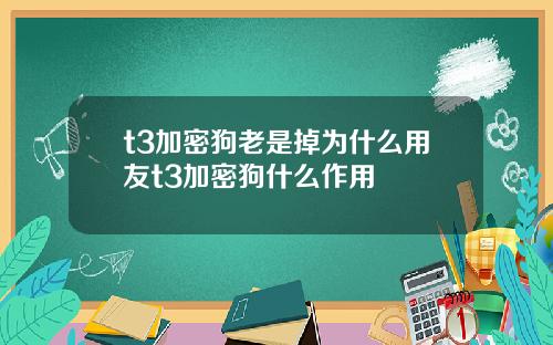 t3加密狗老是掉为什么用友t3加密狗什么作用