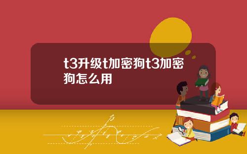 t3升级t加密狗t3加密狗怎么用