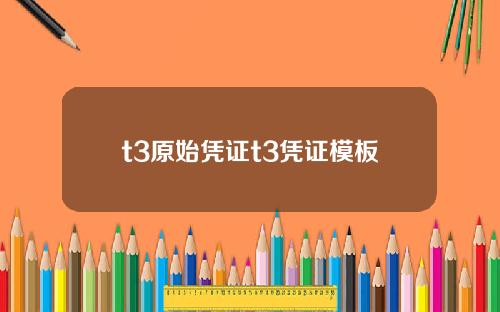 t3原始凭证t3凭证模板