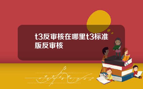 t3反审核在哪里t3标准版反审核
