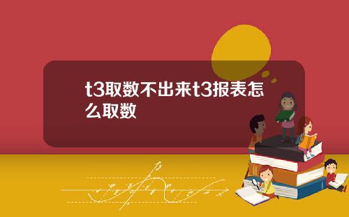 t3取数不出来t3报表怎么取数