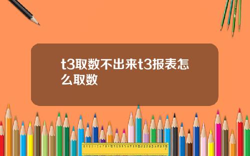 t3取数不出来t3报表怎么取数