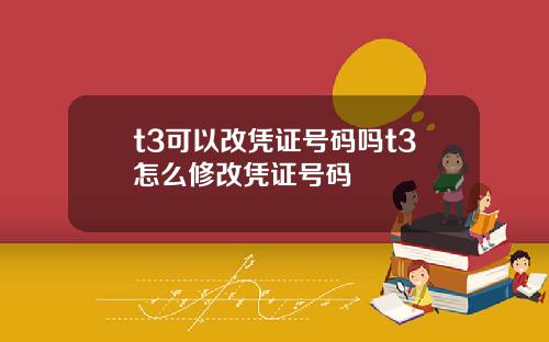 t3可以改凭证号码吗t3怎么修改凭证号码