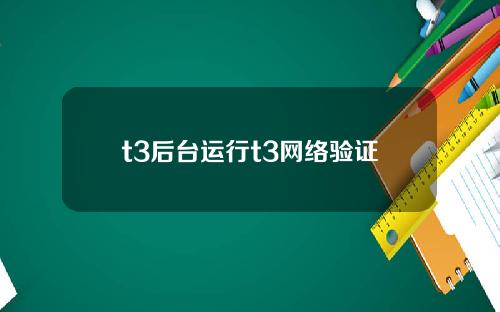 t3后台运行t3网络验证