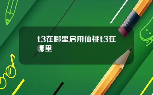 t3在哪里启用仙桃t3在哪里