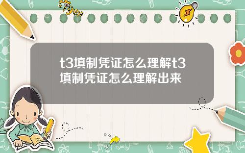 t3填制凭证怎么理解t3填制凭证怎么理解出来