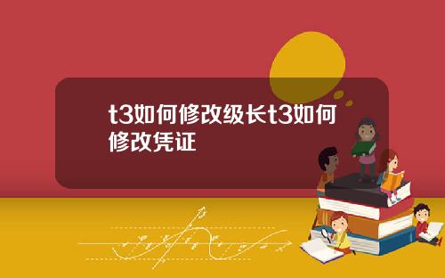 t3如何修改级长t3如何修改凭证