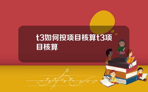 t3如何按项目核算t3项目核算