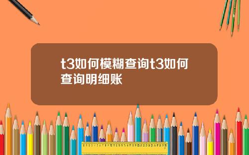 t3如何模糊查询t3如何查询明细账