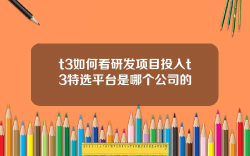 t3如何看研发项目投入t3特选平台是哪个公司的