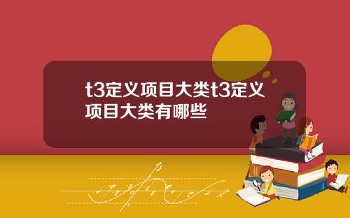 t3定义项目大类t3定义项目大类有哪些