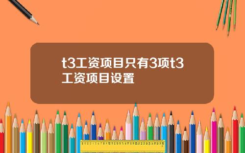 t3工资项目只有3项t3工资项目设置