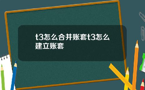 t3怎么合并账套t3怎么建立账套