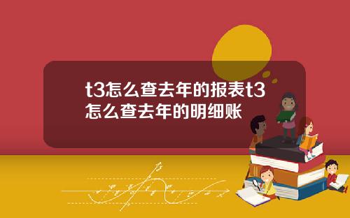 t3怎么查去年的报表t3怎么查去年的明细账